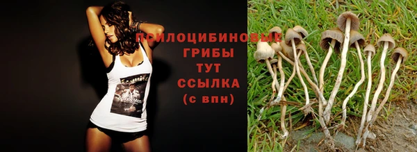 мет Каменка