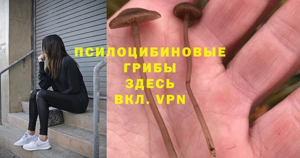 мет Каменка