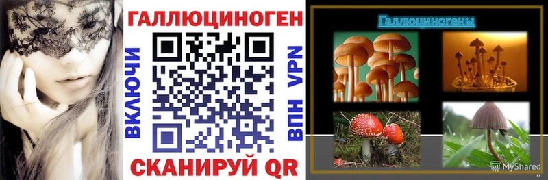 Галлюциногенные грибы Psilocybe  Шелехов 