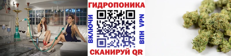 Бошки марихуана Amnesia  KRAKEN как зайти  Шелехов 